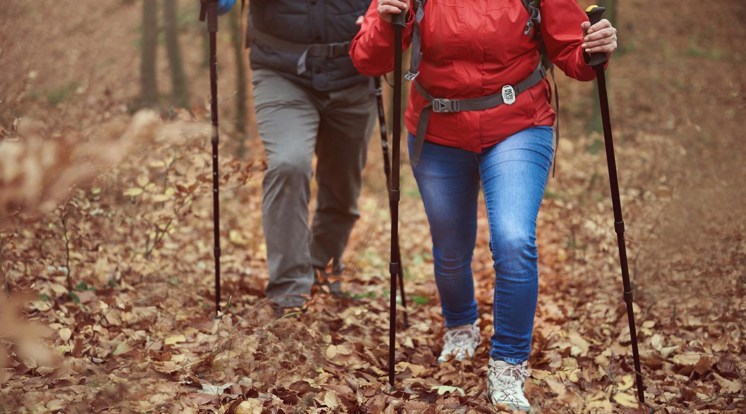  Person Nordic walking on a forest trail in morning light, holding poles mid-stride with confident posture